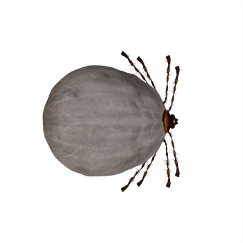 3d Tic isolated png