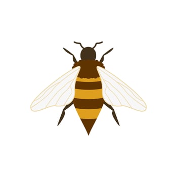 honey bee flat design vector illustration. Cute Bumble Bee. bumblebee character logo mascot
