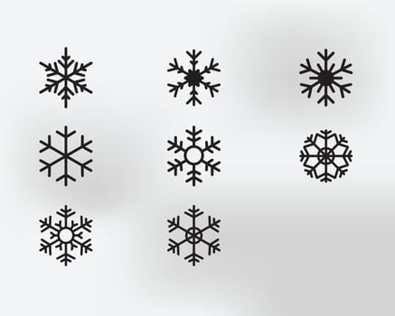 Set of Various types of Snowflakes vector