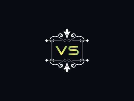 Simple Vs Logo Letter, Capital VS Luxury Logo Icon Vector