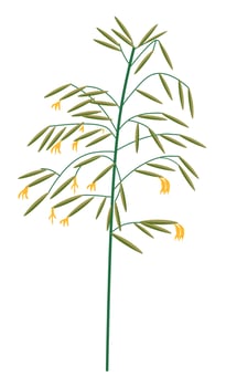 Wildflower grass with blossom, wild vegetation vector
