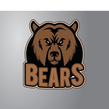 Bear Head Mascot Illustration vector
