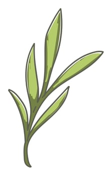 Botanic flora, branch with leaves, twig of plant vector