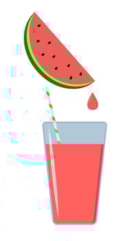 soft drink watermelon lemonade vector