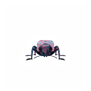 3d Agrilus isolated png