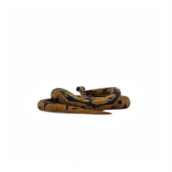 3d Burmese Python png