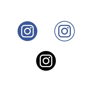 instagram icon or logo in vector