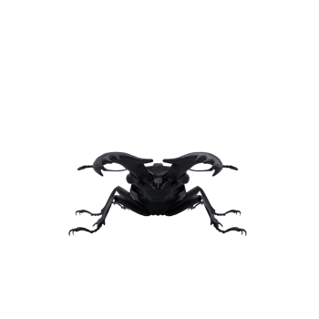 Miyama Stag Beetle png