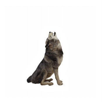 3d timber wolf isolated png