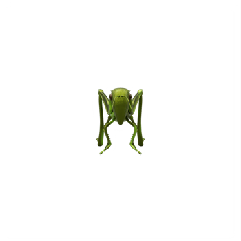 3d Grasshopper isolated png