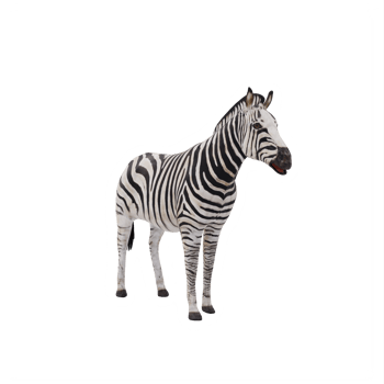 3d african zebra isolated png