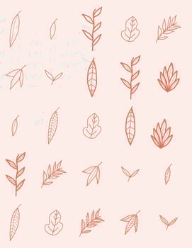 collection of vector illustrations of fall leaf