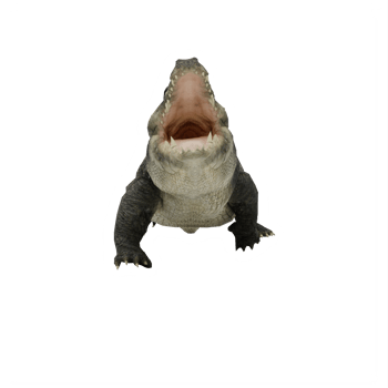 3d crocodile isolated png