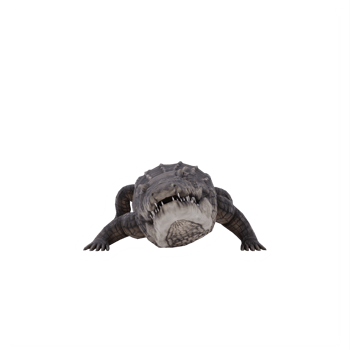 3d African crocodile isolated png