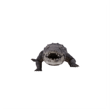 3d African crocodile isolated png