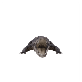 3d African crocodile isolated png