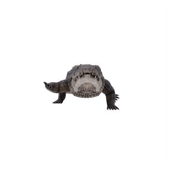 3d African crocodile isolated png