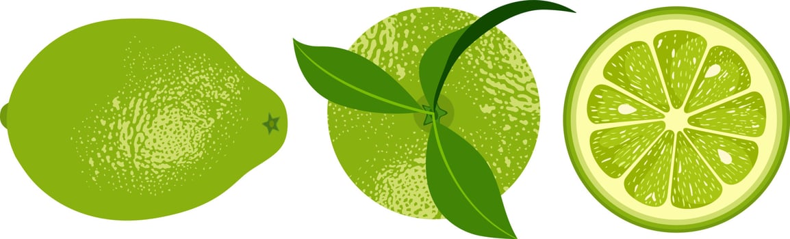 Set of three green lemons vector