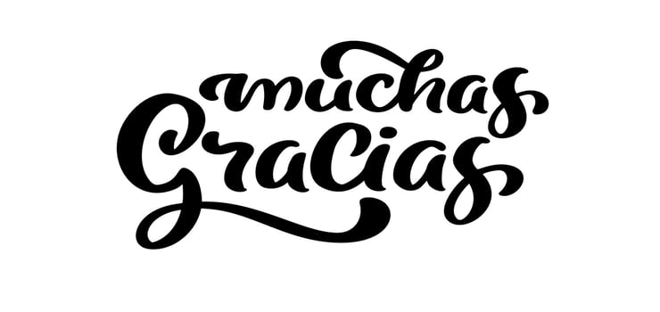 Thank you vector lettering text in spanish Muchas Gracias. Hand drawn phrase. Handwritten modern brush calligraphy for invitation and greeting card, t-shirt, prints and posters