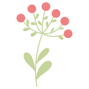 Branch with red berries. sticker png