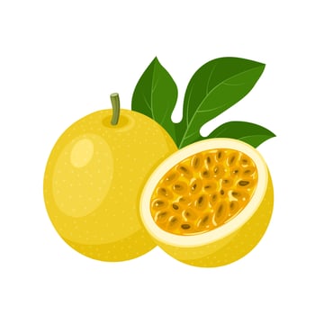 Vector illustration, passion fruit or Passiflora edulis, isolated on white background.