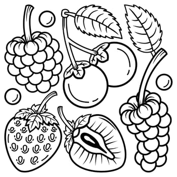 bandle fruit element suitable for element design vector