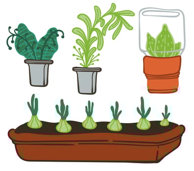 Nature and growth of plants and flowers vector