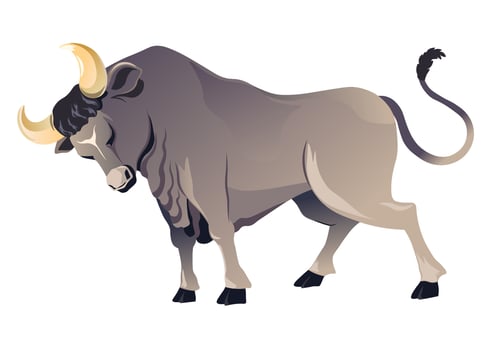 Angry bull animal with horns, wild ox vector