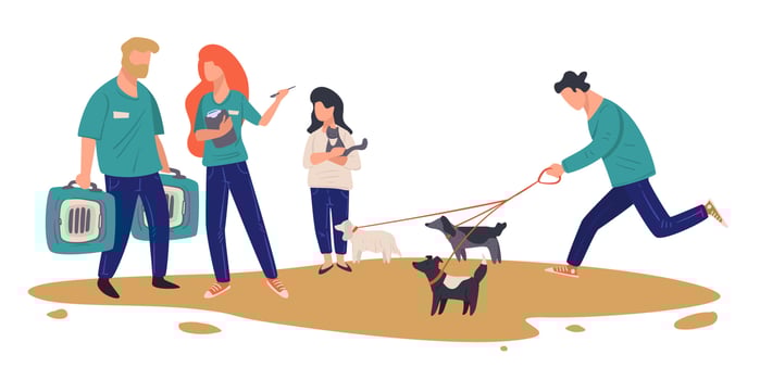 Animal shelter or adoption center, choosing pet vector
