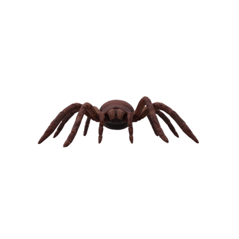 Goliath Birdeater Tarantula Theraphosa blondi png