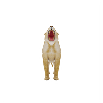 3d Lioness isolated png