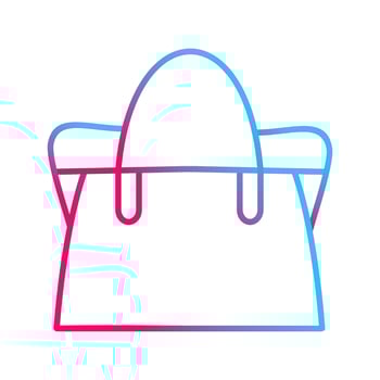Bag Vector Icon