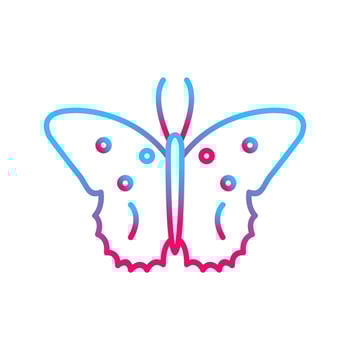 Butterfly Vector Icon