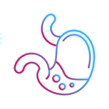 Stomach Vector Icon