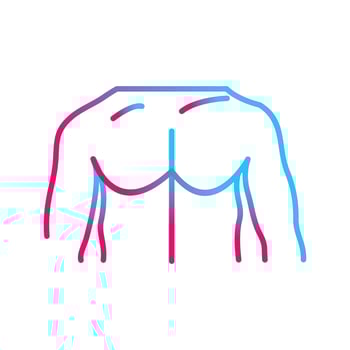 Unique Chest Vector Icon