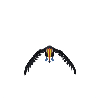 3d toucan bird isolated png