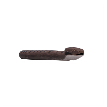 3d viper snake isolated png