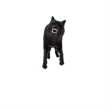 3d black WOLF isolated png