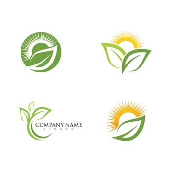 Logos of green Tree leaf ecology vector