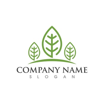 Logos of green Tree leaf ecology vector