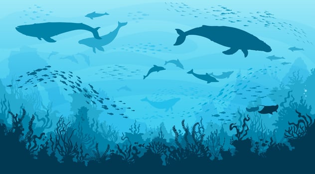 Underwater landscape, whales, dolphins in undersea vector