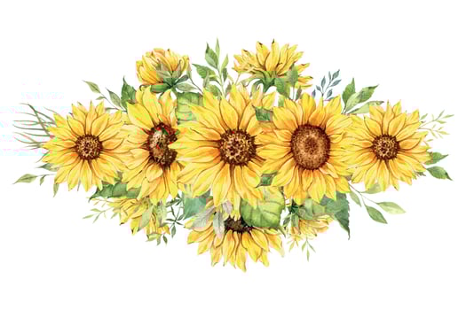 Watercolor sunflowers bouquet, hand painted sunflower bouquets with greenery, sunfower flower arrangement. Wedding invitation clipart elements. Watercolor floral. Botanical Drawing. White background. vector