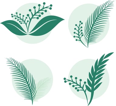 Aesthetic plant vector illustration