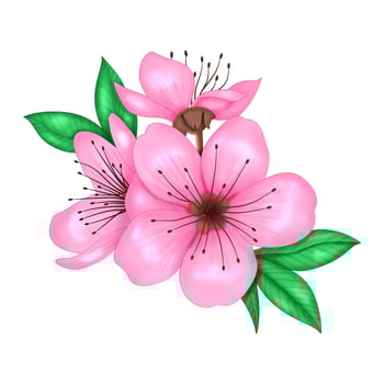 Spring Sakura cherry blooming flowers bouquet. Isolated realistic pink petals, floral petal vector set. Spring tree illustration design