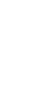 White Doodle leaf. png