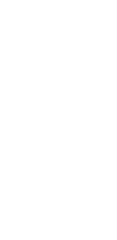 White Doodle leaf. png