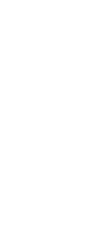 White Doodle leaf. png