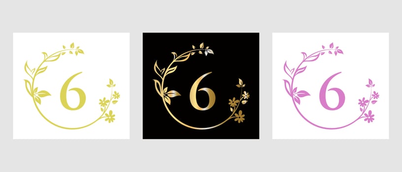 Letter 6 Beauty Logo for Decorative, Flower, Spa Template vector