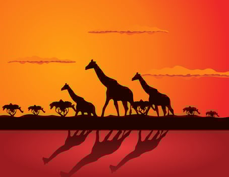 Two giraffes love each other. A vector illustration