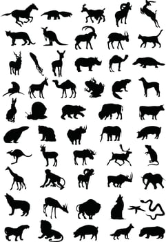 Collection of animals. A vector illustration
